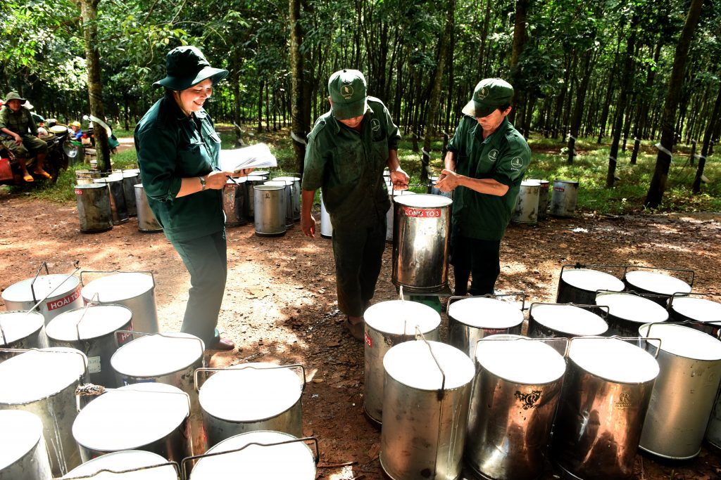 Các công ty cao su Đông Nam bộ: Hăng say lao động sản xuất, thi đua về trước kế hoạch